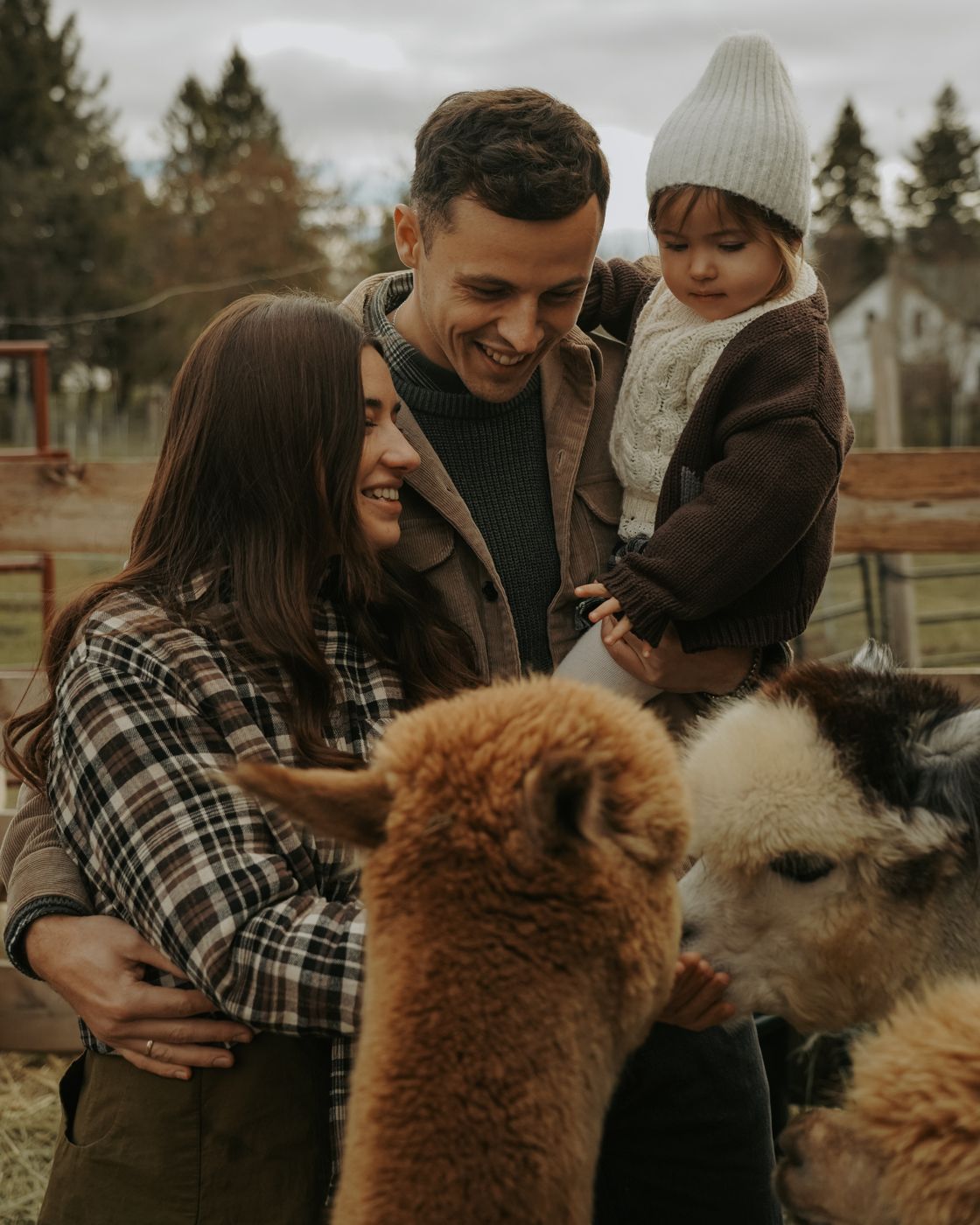 Parents laughing together while holding their daughter at an alpaca farm