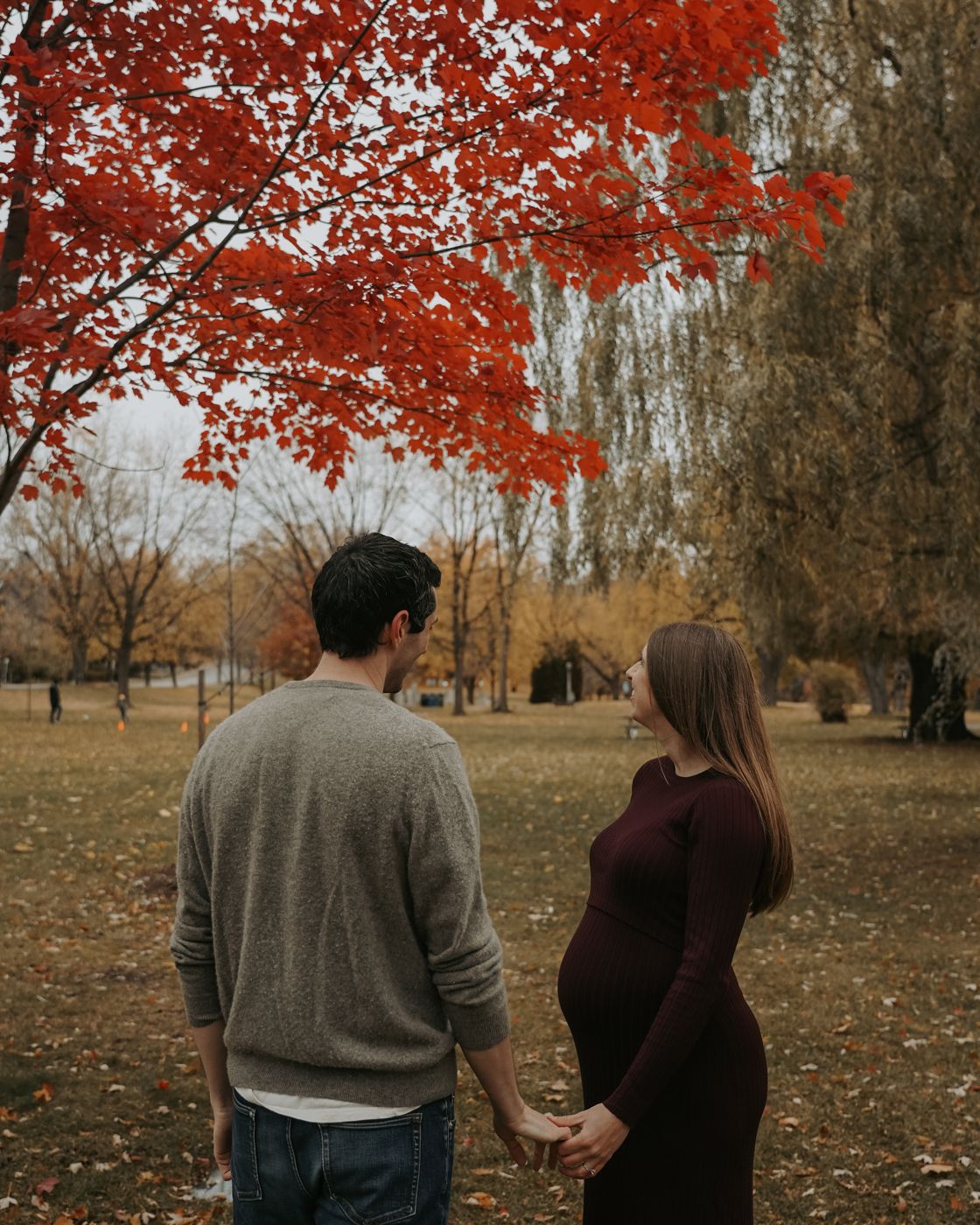 Expecting couple holding hands beneath a red maple in autumn