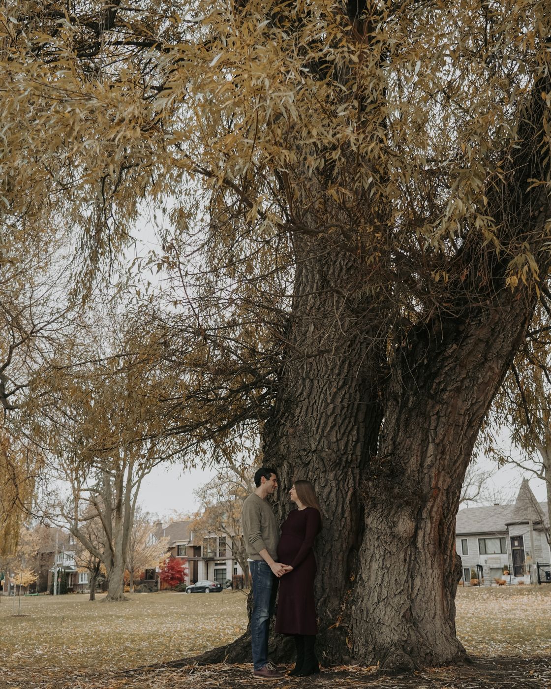 Couple under a large willow tree in autumn