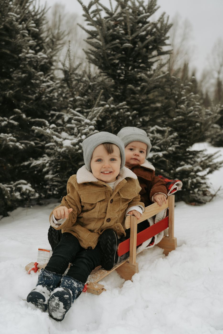 Two little brothers in grey beanies on a wooden sled in the snow
