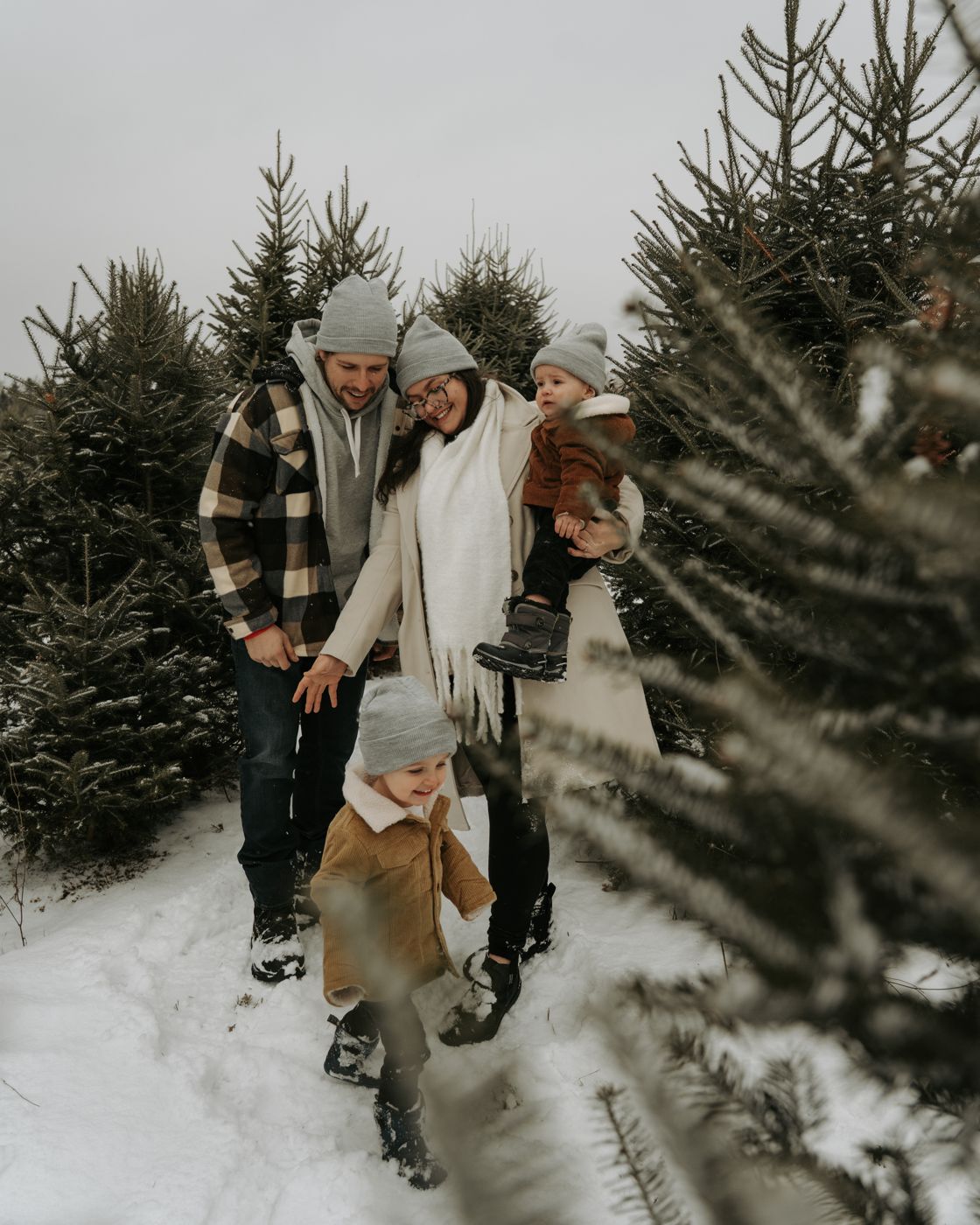 Family of four laughing as they walk between snowy Christmas trees