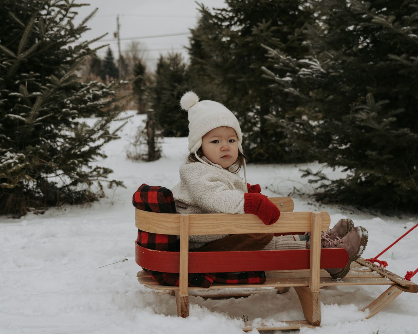 Toddler in a white pom-pom hat sitting on a wooden sled at a Christmas tree farm